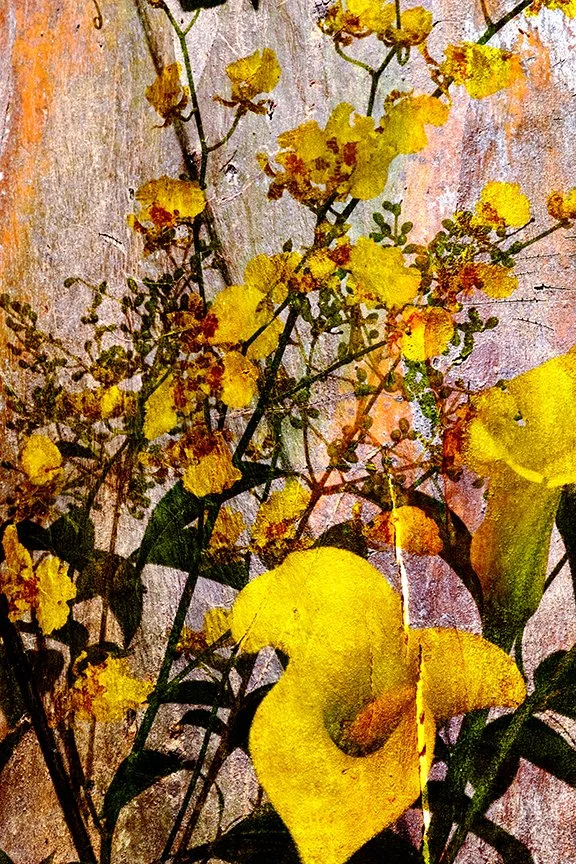 Flora_271