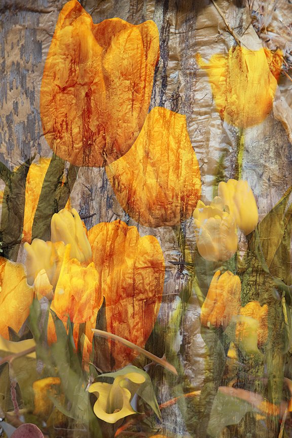 Flora_250