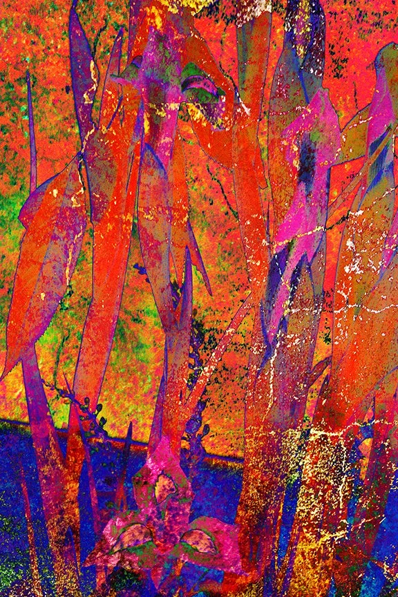 Foliage_59