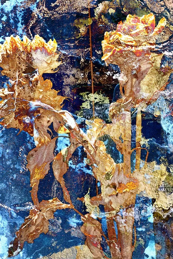 Flora_66