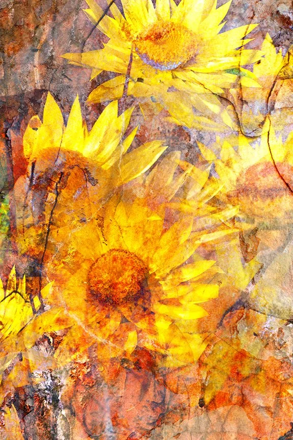 Flora_238