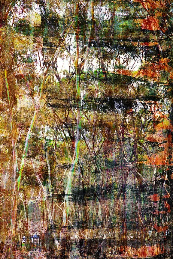 Landscape_113