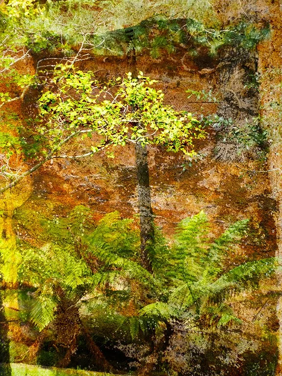 Landscape_93