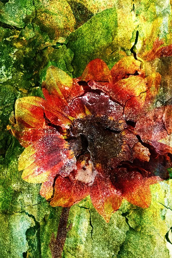 Flora_251