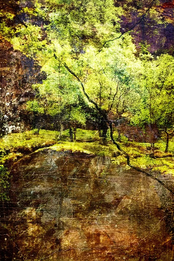 Landscape_190