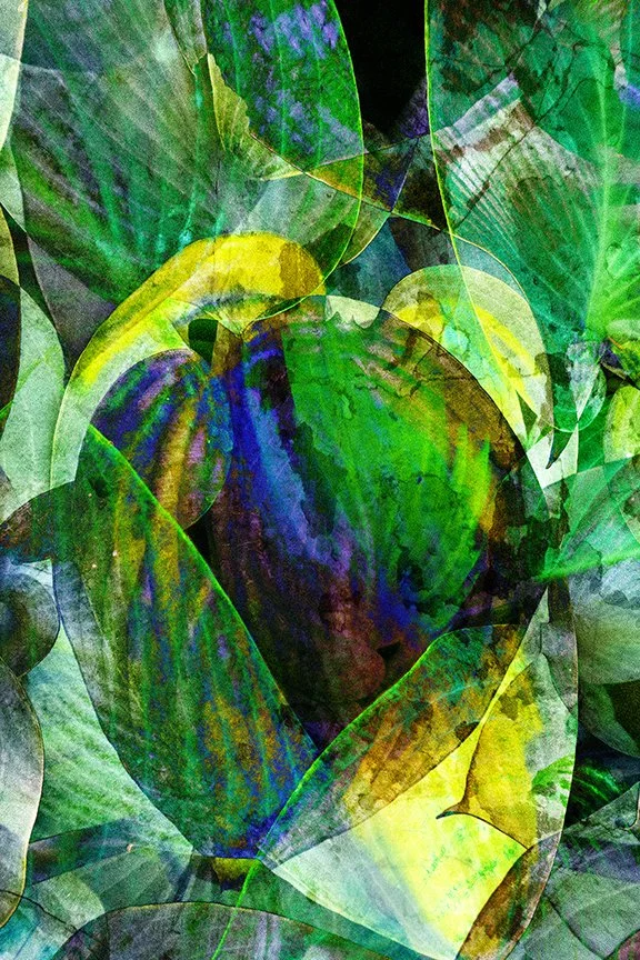 Foliage_16