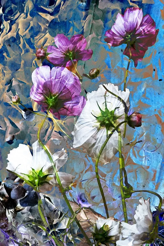 Flora_67