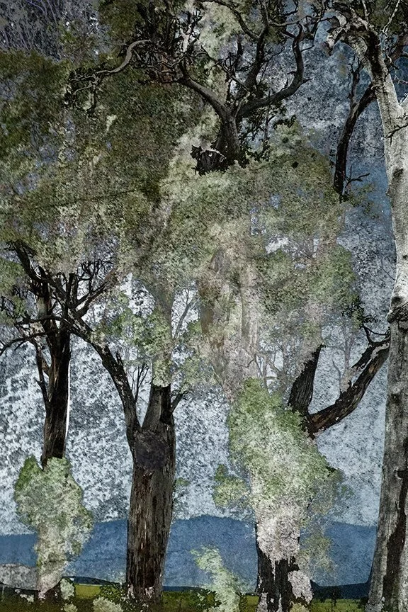 Landscape_184