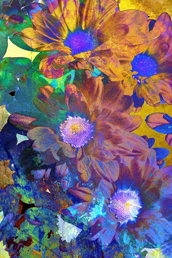 Flora_155
