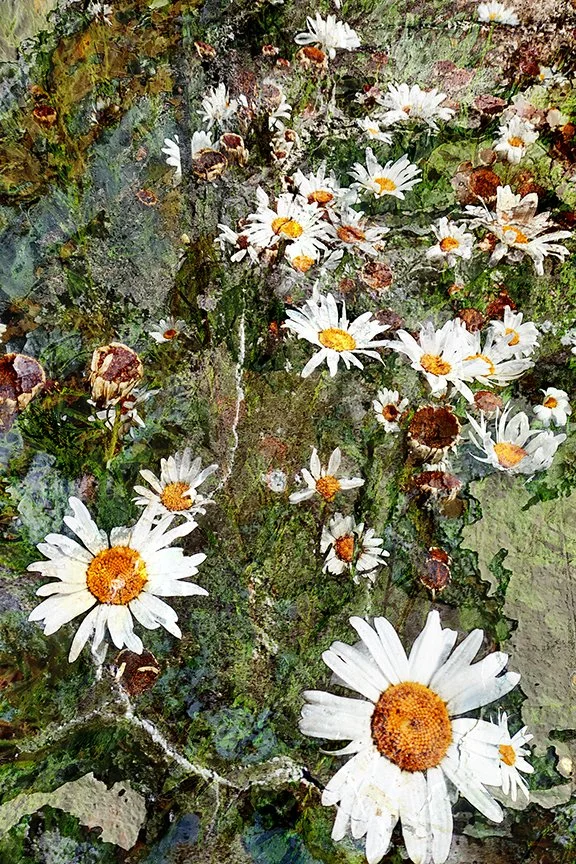 Flora_180