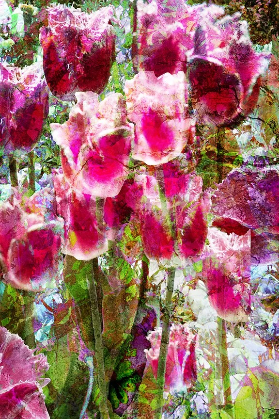 Flora_36