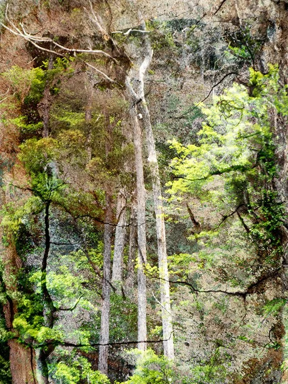 Landscape_88