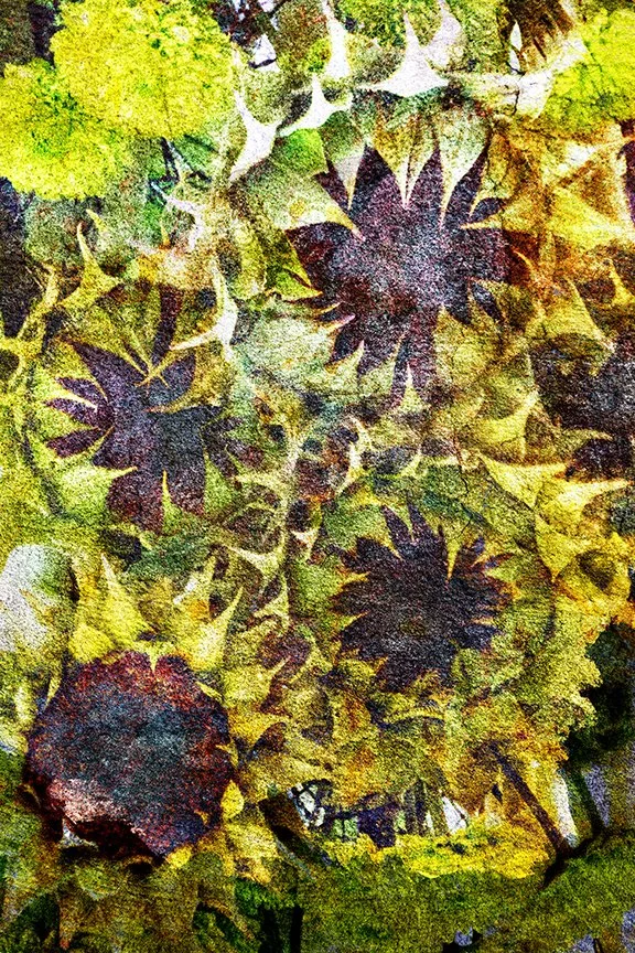 Flora_191