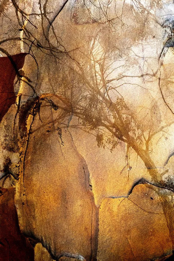 Landscape_45