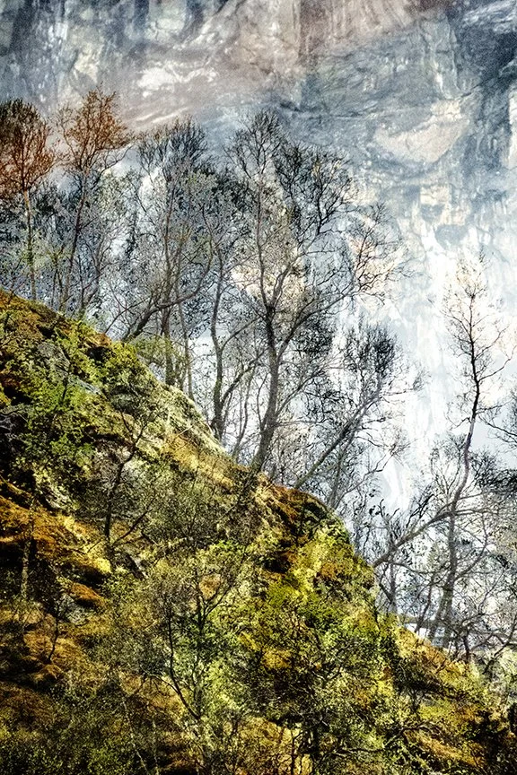 Flora_Landscape_