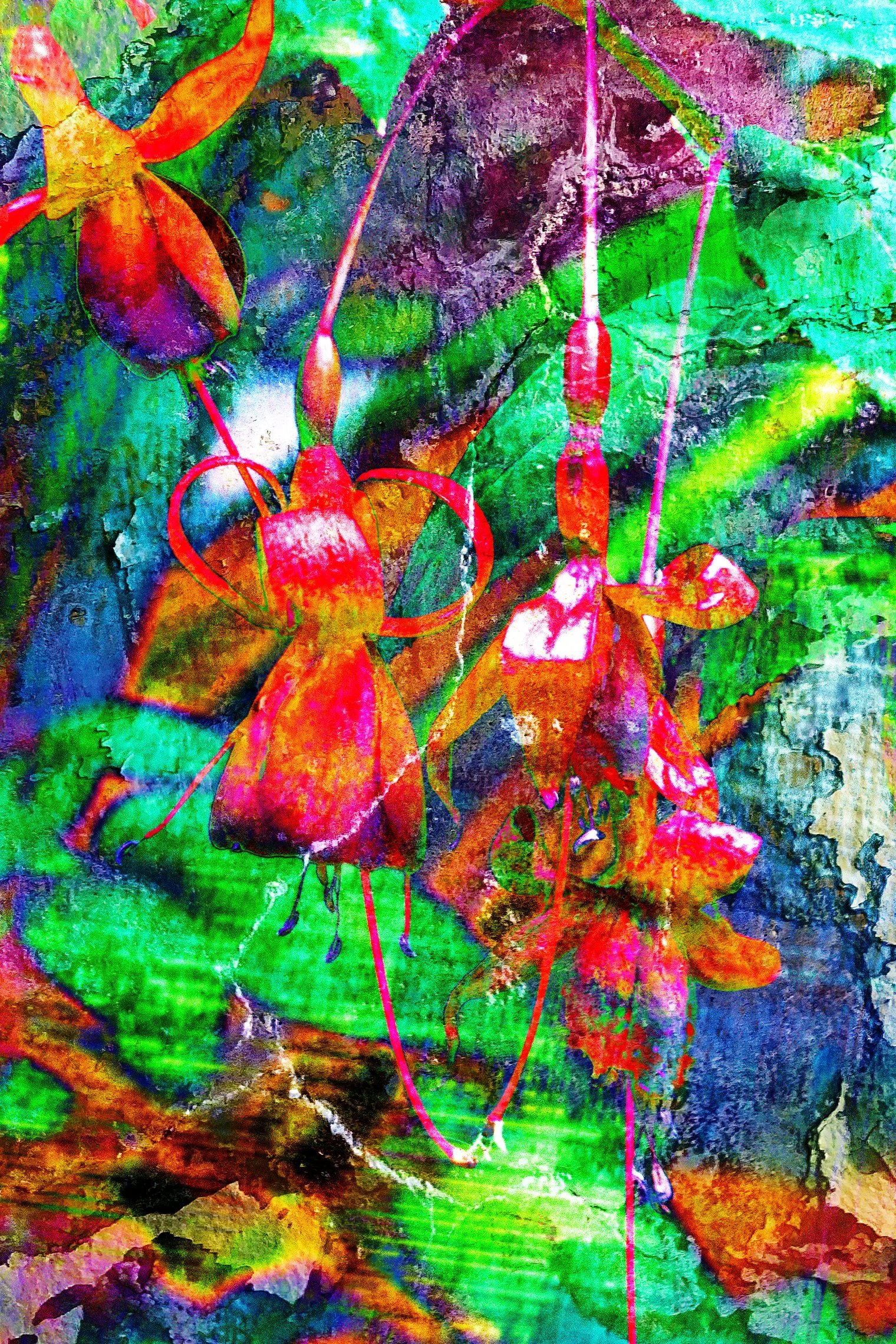 Flora_112