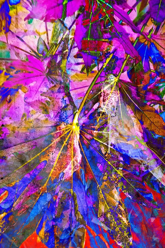 Foliage_179