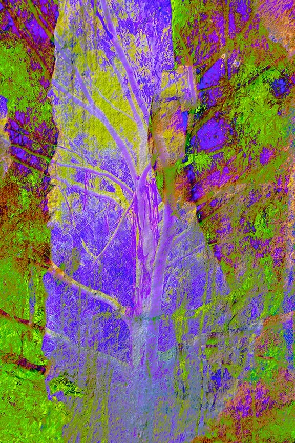 Foliage_86