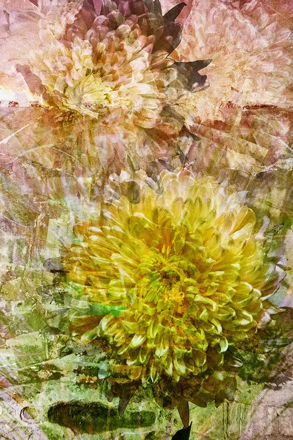Flora_163