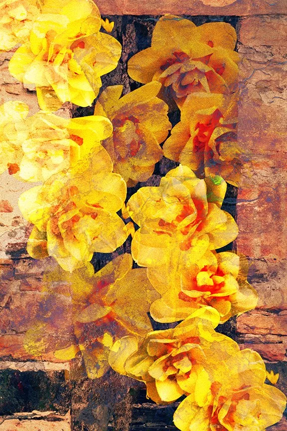 Flora_276