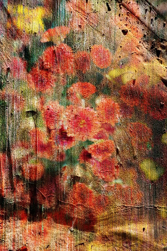 Flora_251