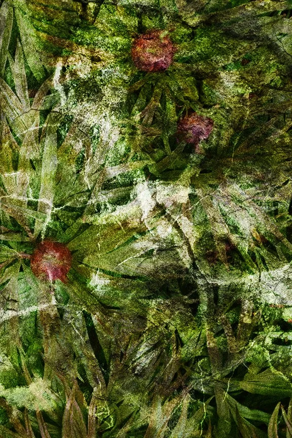 Foliage_184