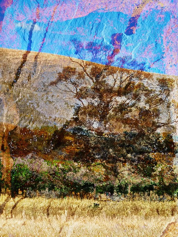 Landscape_87
