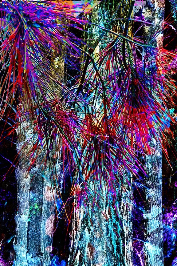 Foliage_77