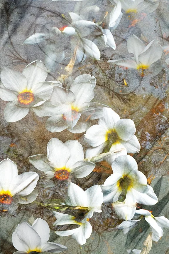 Flora_274