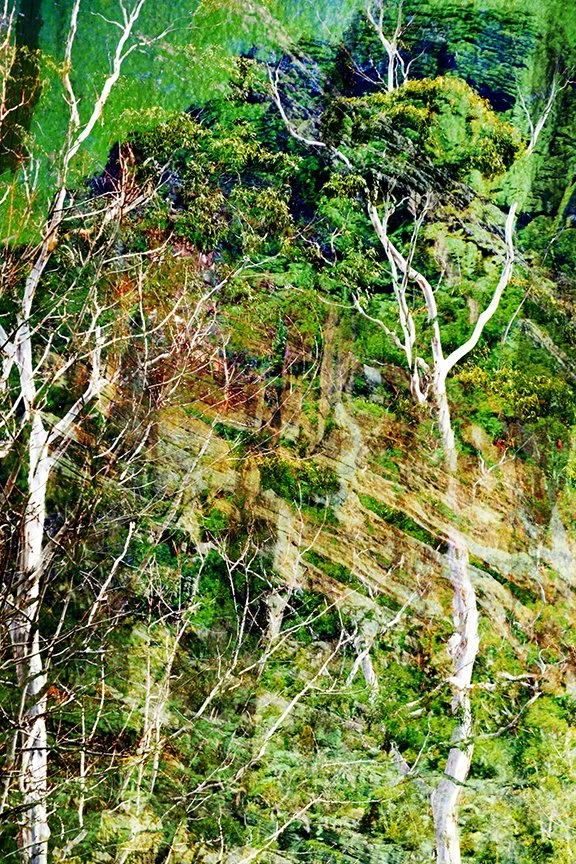 Landscape_71