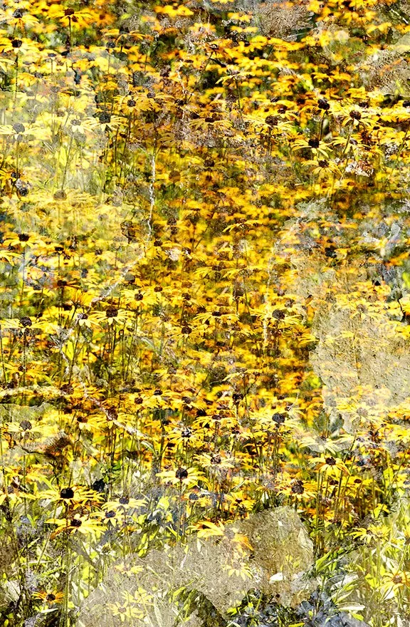 Flora_89