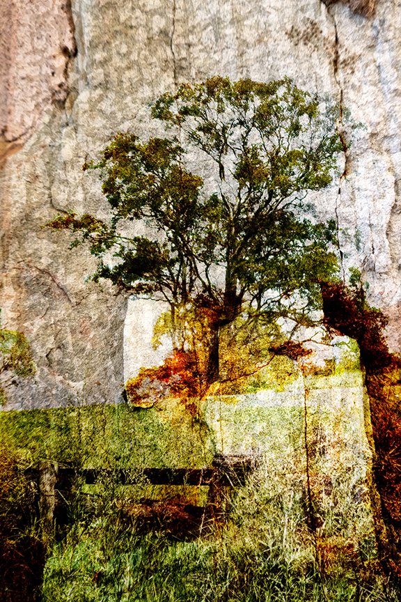 Landscape_95