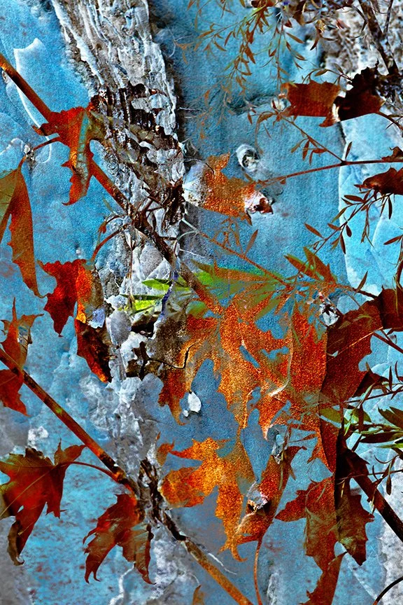 Foliage_81
