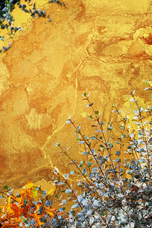Foliage_138