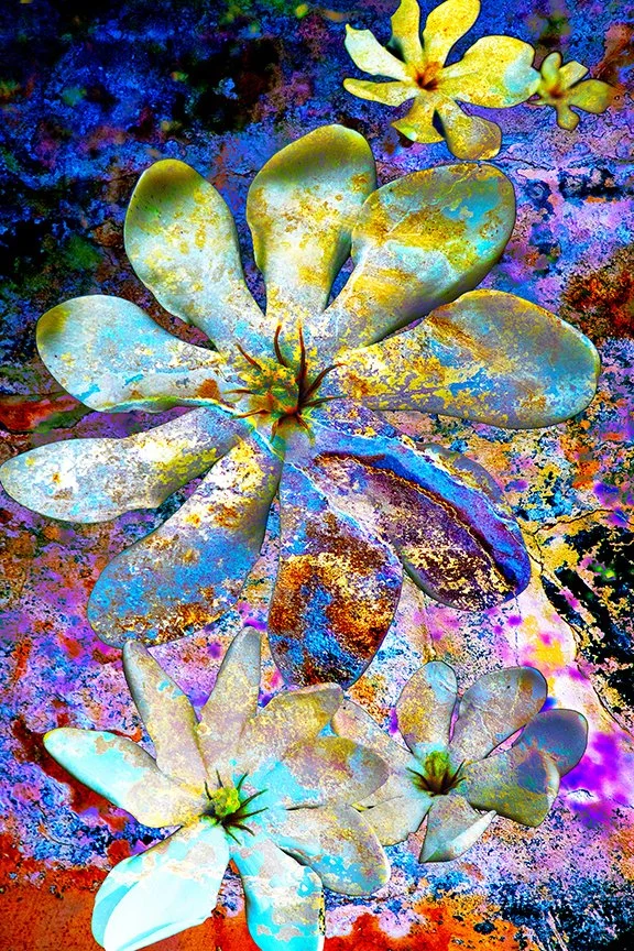 Flora_127