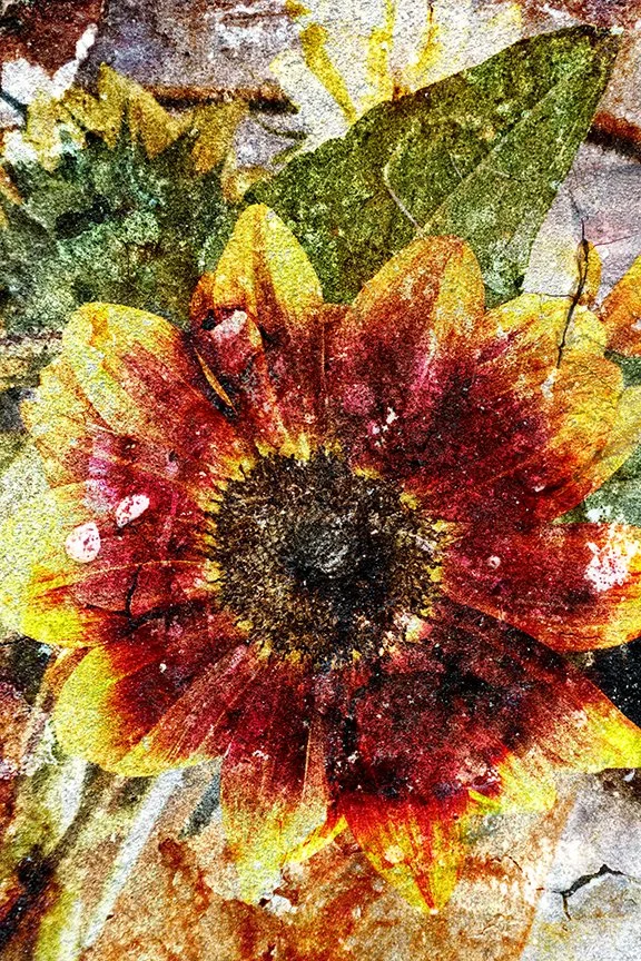Flora_253