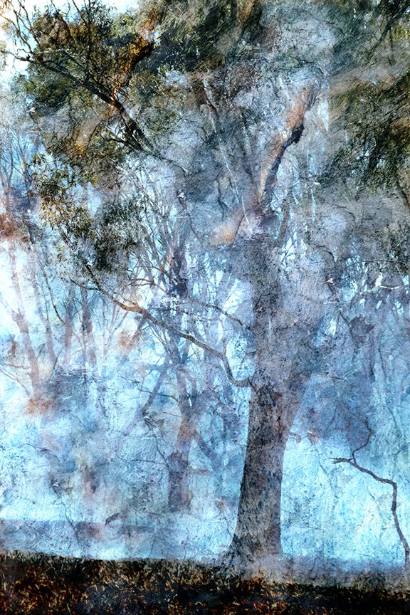 Landscape_14
