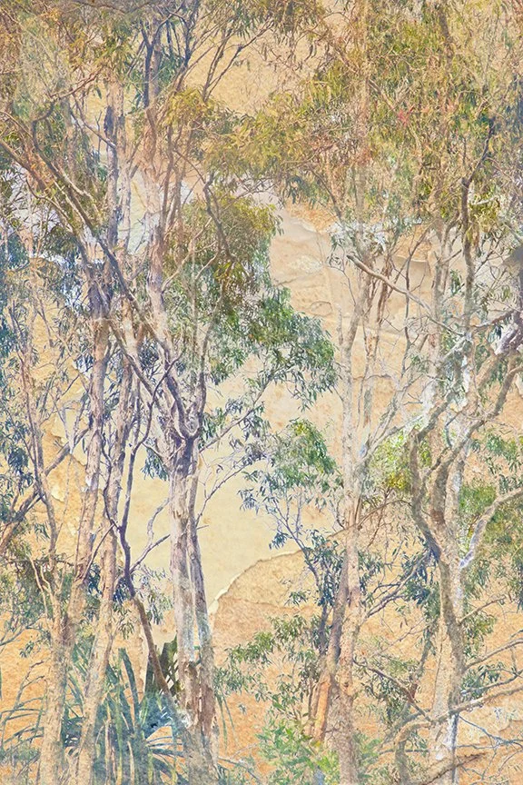 Landscape_103