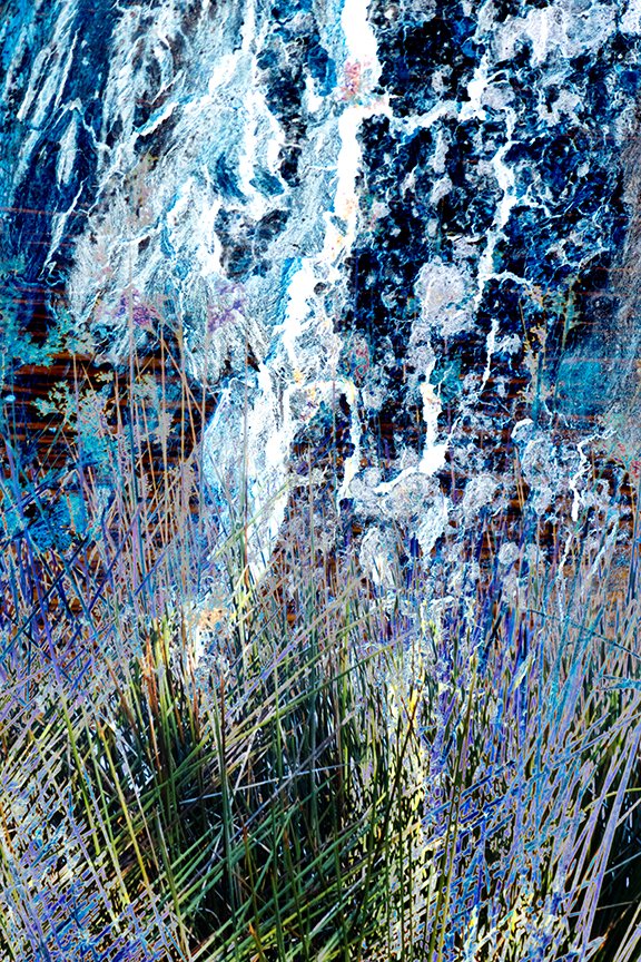 Foliage_80