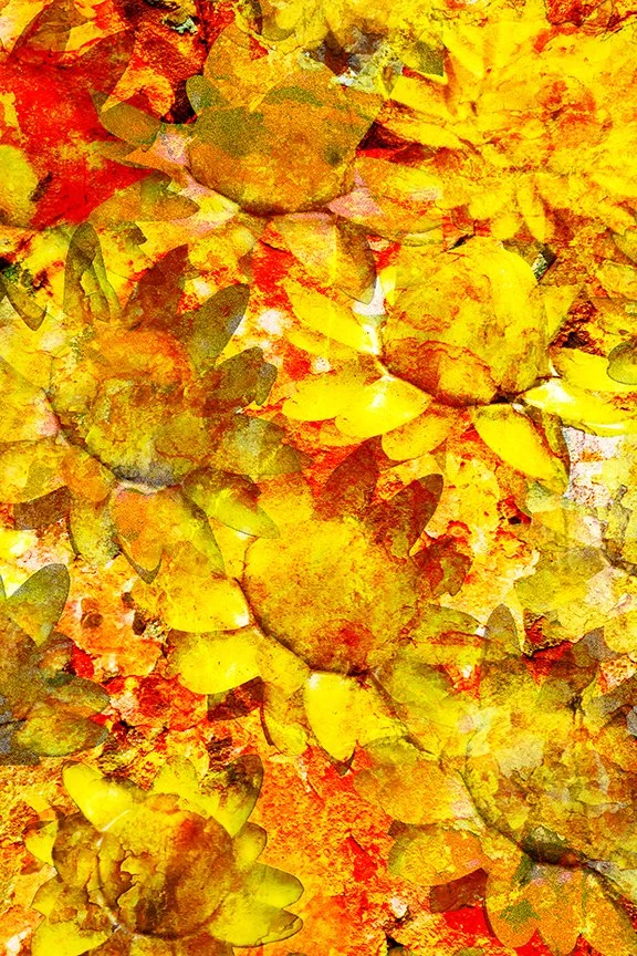 Flora_222
