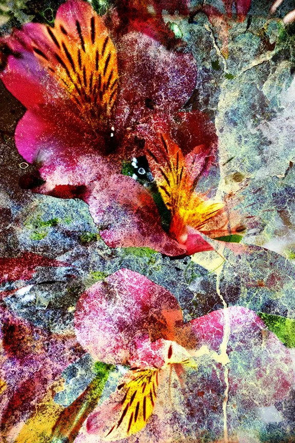 Flora_254