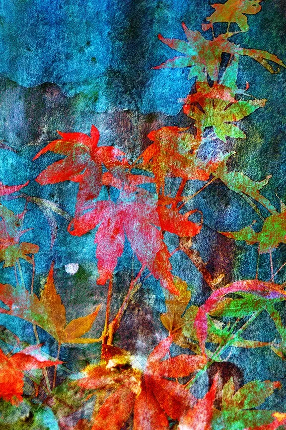 Foliage_72