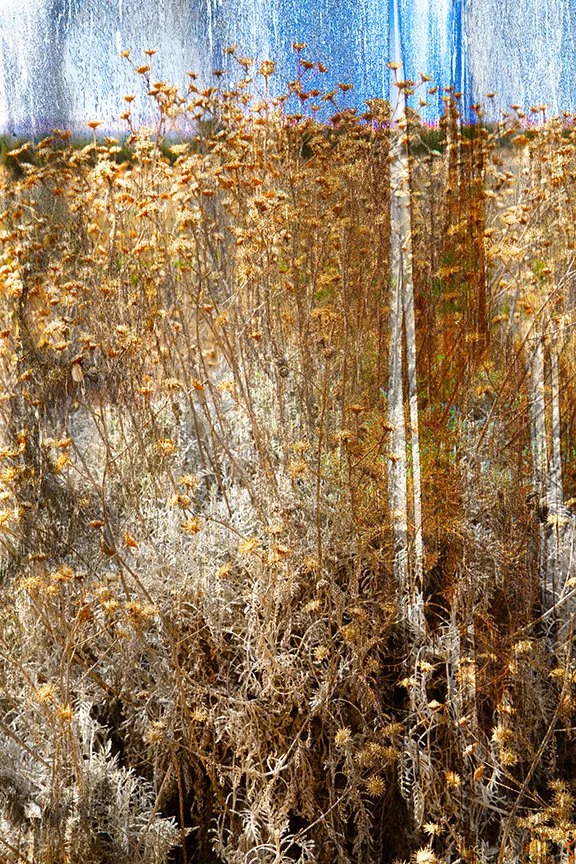 Landscape_111