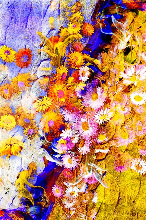 Flora_48