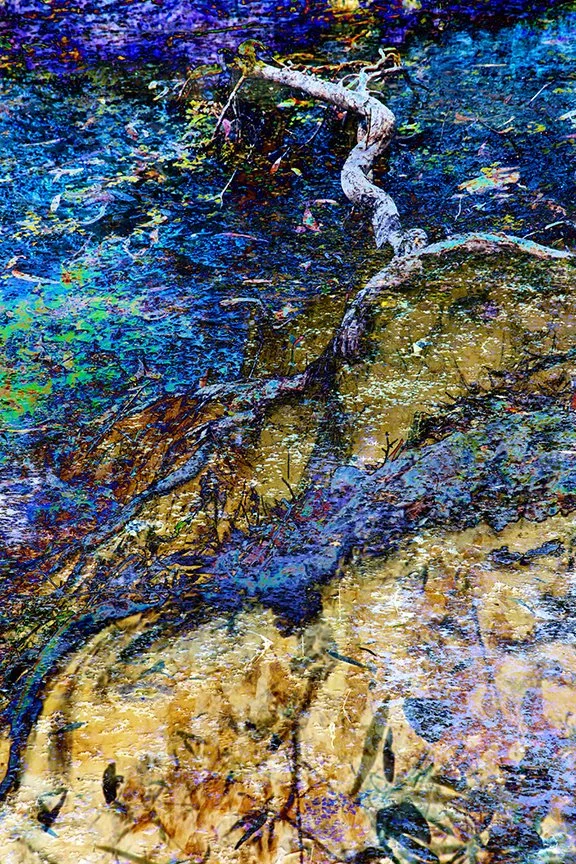 Abstract_17