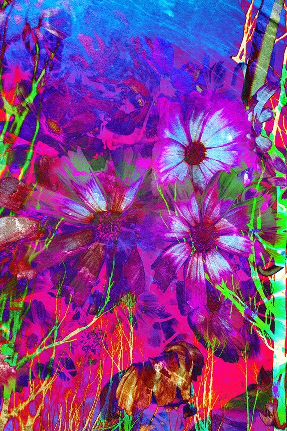 Flora_169