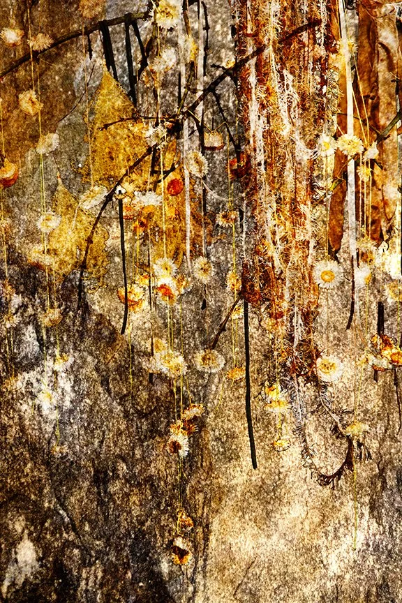 Abstract_02