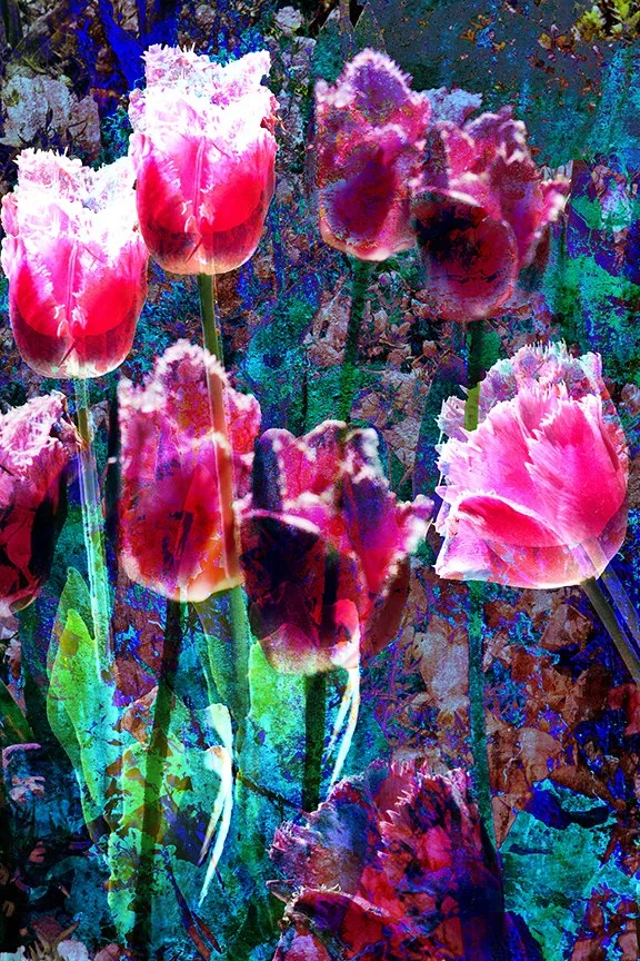 Flora_35
