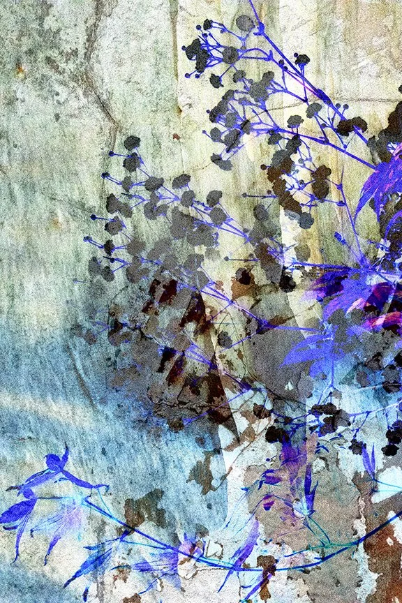 Foliage_21
