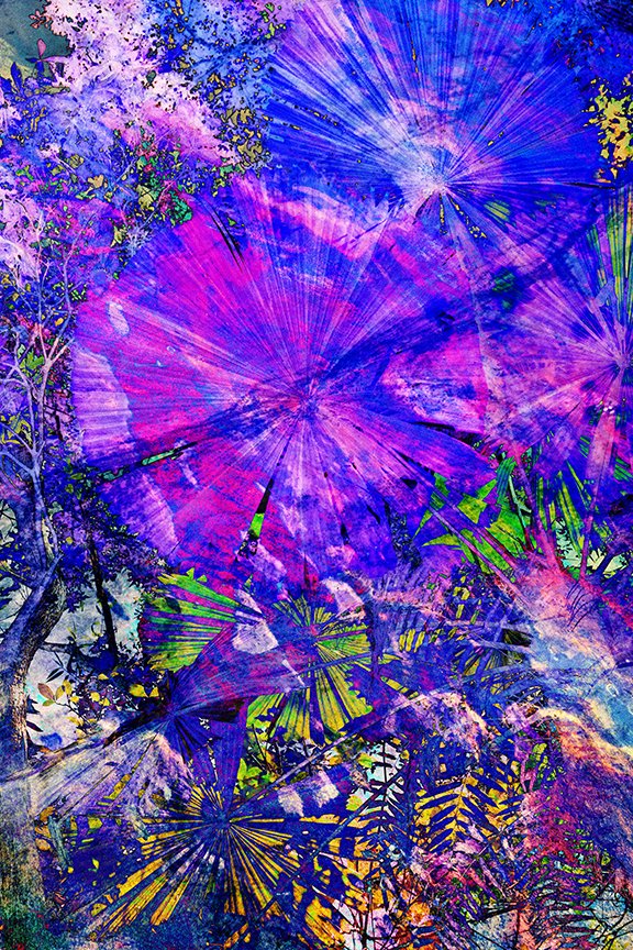 Landscape_97